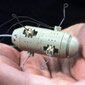 skaczący robot 