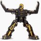 robot humanoidalny RoboPhilo