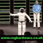 robotyka i roboty