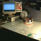 robot ecobot
