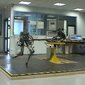robot kroczący rabbit, roboty