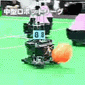 robotyka i roboty
