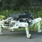robotyka i roboty