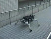 hybrydowy robot mobilny Roller Walker